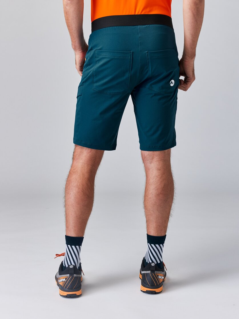 Martini Sportswear - ALPMATE Shorts Dynamic M - Shorts in mosstone-greenery - rear view model - Men
